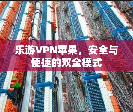 乐游VPN苹果，安全与便捷的双全模式