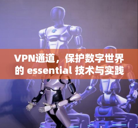 VPN通道，保护数字世界的 essential 技术与实践