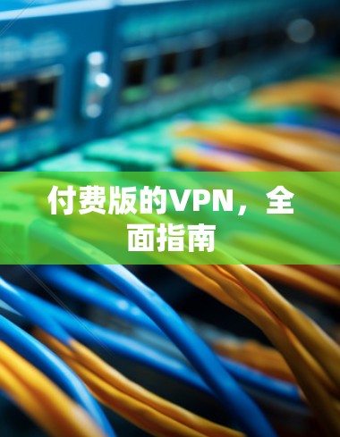 付费版的VPN，全面指南