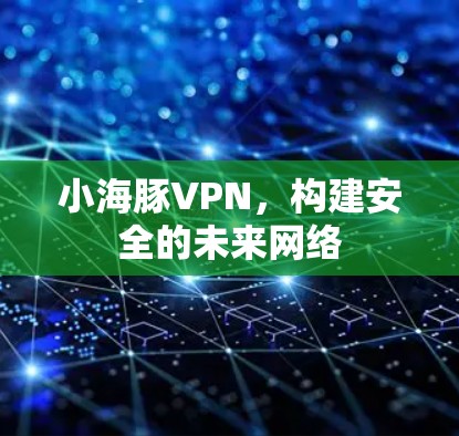 小海豚VPN，构建安全的未来网络