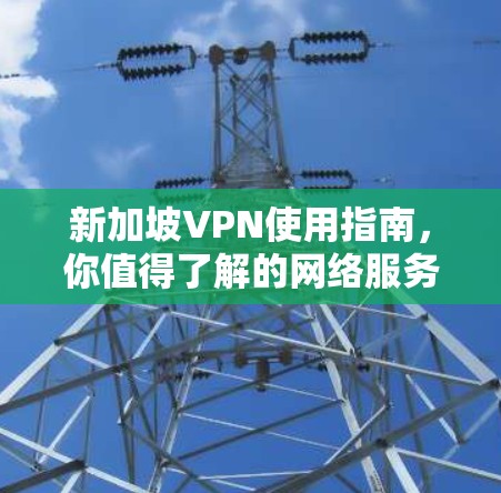 新加坡VPN使用指南，你值得了解的网络服务