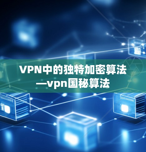 VPN中的独特加密算法—vpn国秘算法