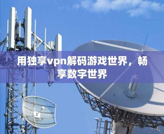 用独享vpn解码游戏世界，畅享数字世界