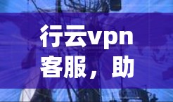 行云vpn客服，助力网络保障与用户信任