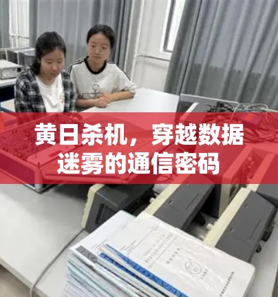 黄日杀机，穿越数据迷雾的通信密码