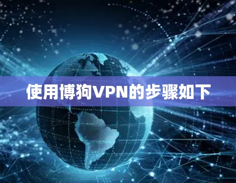 使用博狗VPN的步骤如下