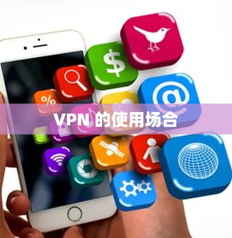 VPN 的使用场合