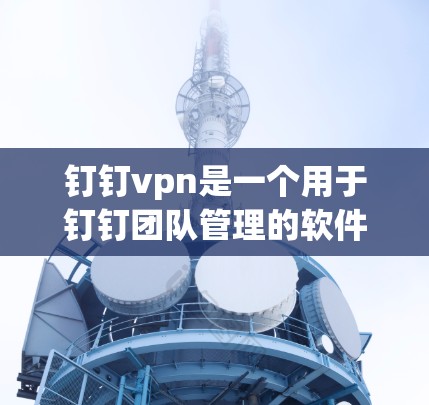 钉钉vpn是一个用于钉钉团队管理的软件，用户可以通过它来设置团队成员的权限、管理团队文件和管理团队成员的信息。以下是一些使用钉钉vpn的步骤指南