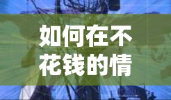 如何在不花钱的情况下享受VPN体验？免费VPN的实用技巧与步骤解析