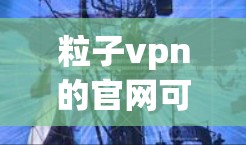 粒子vpn的官网可以通过以下步骤找到