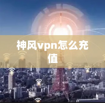 神风vpn怎么充值