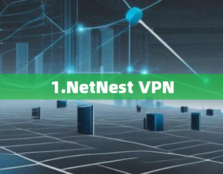 1.NetNest VPN