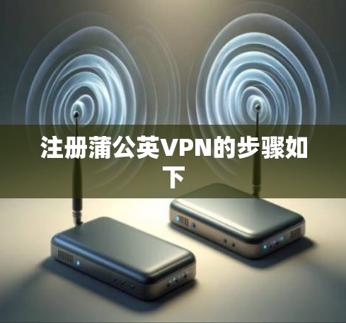 注册蒲公英VPN的步骤如下