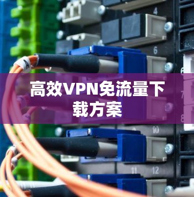 高效VPN免流量下载方案