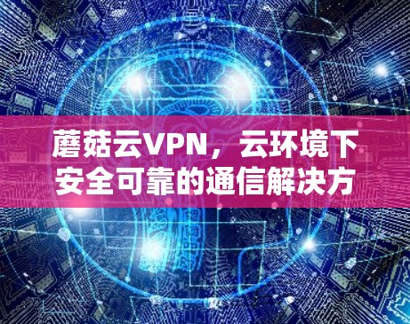蘑菇云VPN，云环境下安全可靠的通信解决方案