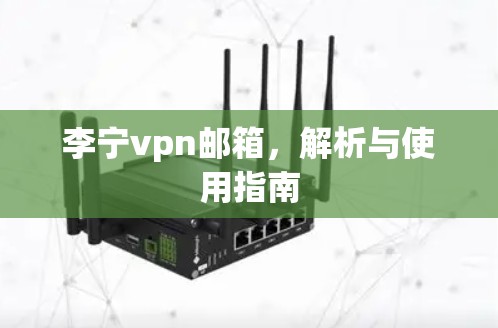 李宁vpn邮箱，解析与使用指南