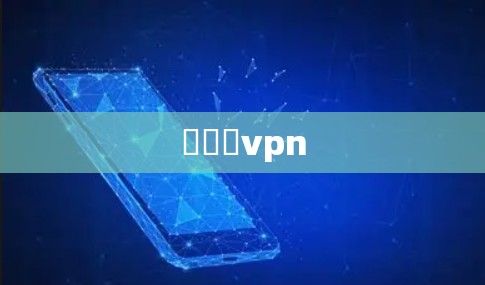 鍦嬪収vpn