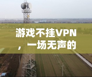 游戏不挂VPN，一场无声的保护战