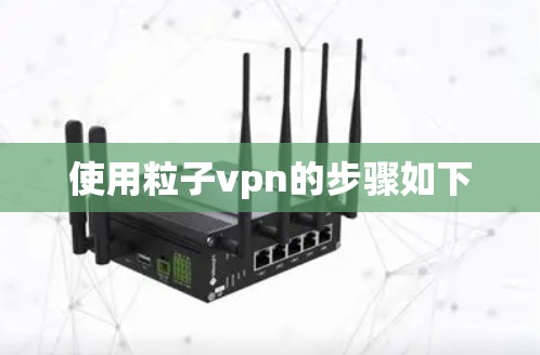 使用粒子vpn的步骤如下