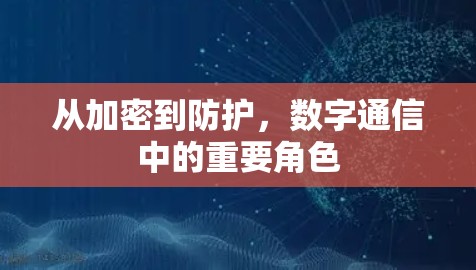 从加密到防护，数字通信中的重要角色