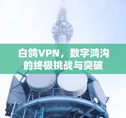 白鸽VPN，数字鸿沟的终极挑战与突破