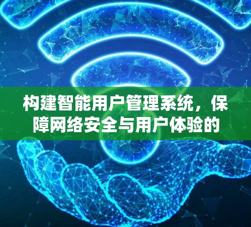 构建智能用户管理系统，保障网络安全与用户体验的双管齐下的未来展望