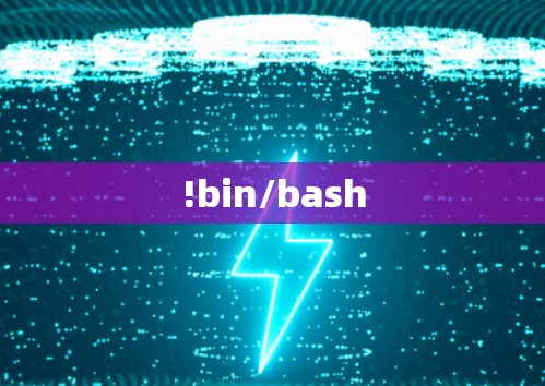 !bin/bash