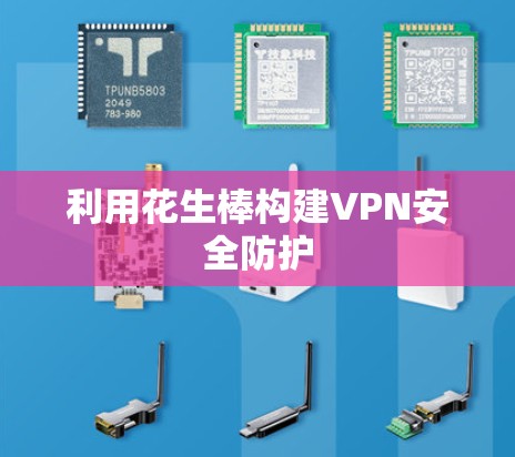 利用花生棒构建VPN安全防护