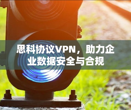 思科协议VPN，助力企业数据安全与合规