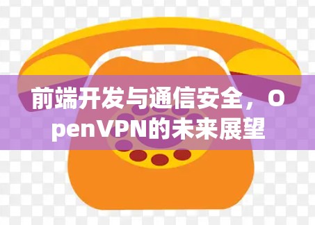 前端开发与通信安全，OpenVPN的未来展望