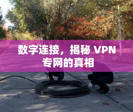 数字连接，揭秘 VPN 专网的真相