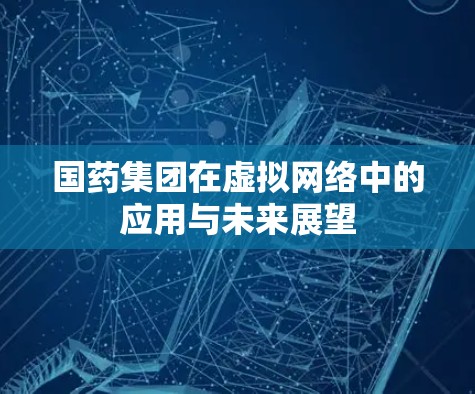 国药集团在虚拟网络中的应用与未来展望