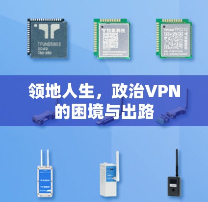 领地人生，政治VPN的困境与出路