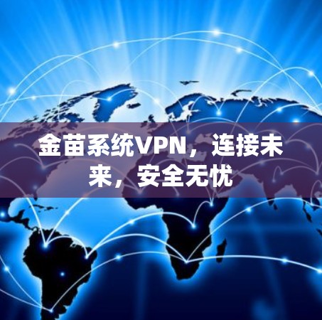 金苗系统VPN，连接未来，安全无忧