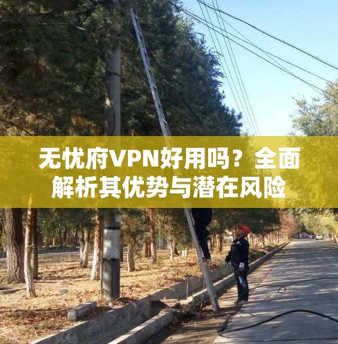 无忧府VPN好用吗？全面解析其优势与潜在风险