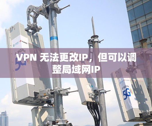 VPN 无法更改IP，但可以调整局域网IP
