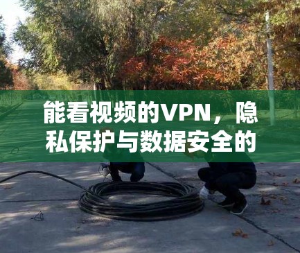 能看视频的VPN，隐私保护与数据安全的双刃剑