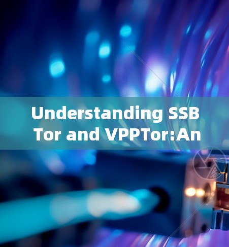 Understanding SSB Tor and VPPTor:An In-Depth Overview