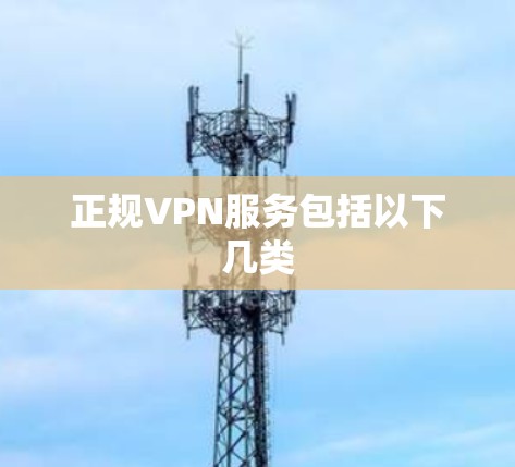 正规VPN服务包括以下几类