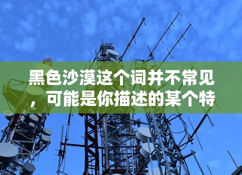 黑色沙漠这个词并不常见，可能是你描述的某个特定服务或者项目的名字。如果你指的是某个特定的VPN服务，或者是在某个特定的项目中使用，那么我需要更多的信息才能提供准确的建议