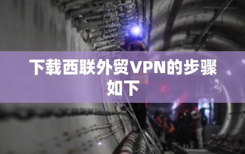下载西联外贸VPN的步骤如下