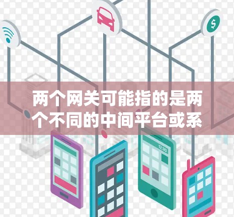 两个网关可能指的是两个不同的中间平台或系统，用于不同的网络管理需求。以下是一个关于两个网关的简要解释和应用场景