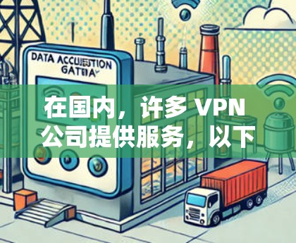 在国内，许多 VPN 公司提供服务，以下是几个值得推荐的国内 VPN 公司及其特点