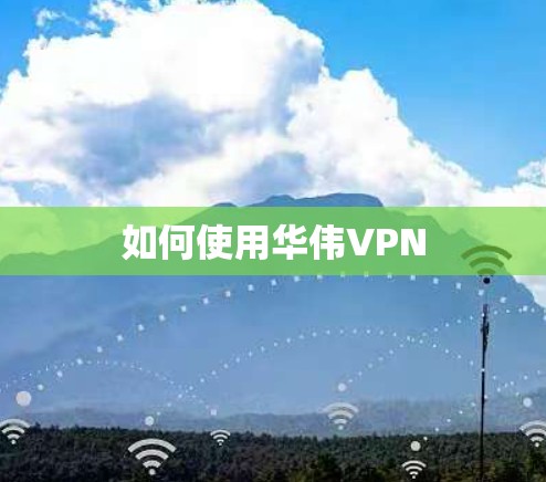 如何使用华伟VPN