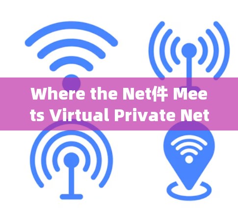Where the Net件 Meets Virtual Private Networking:A Unique Insight into Modern VPN Implementation