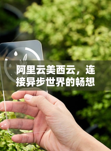 阿里云美西云，连接异步世界的畅想与实践