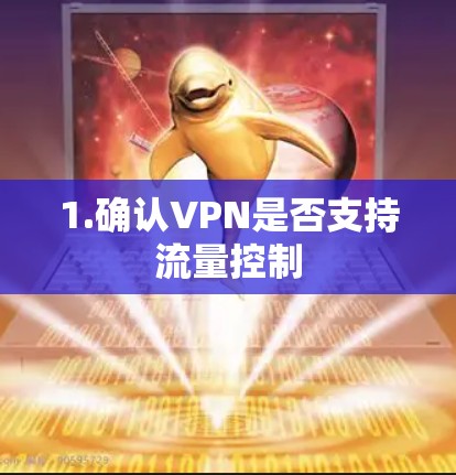 1.确认VPN是否支持流量控制