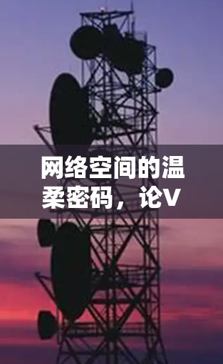 网络空间的温柔密码，论VPN的禁用与重构