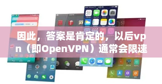 因此，答案是肯定的，以后vpn（即OpenVPN）通常会限速，限制数据传输速率以保障安全