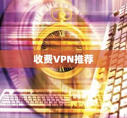收费VPN推荐